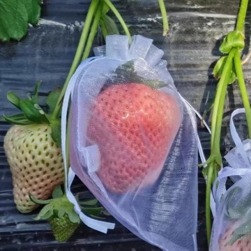 驅鳥器 防鳥防蟲水果套袋枇杷草莓無花果葡萄櫻桃果袋黃皮透氣果實保護袋
