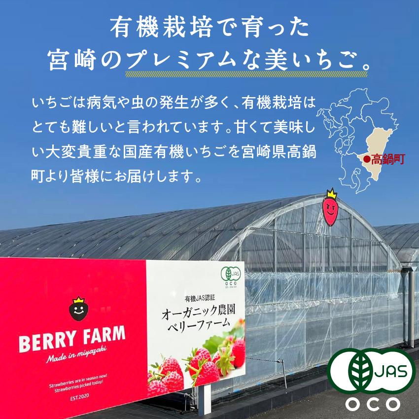 美いちご 1kg(500g×2袋) 冷凍 イチゴ 苺 有機栽培 国産 宮崎県産 フレッシュ スムージー スイーツ ギフト プレゼント 送料無料