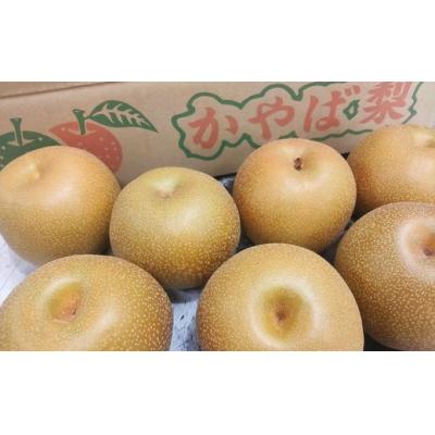 ふるさと納税 福島市 古関商店　かやば梨「豊水」約2kgNo.2356