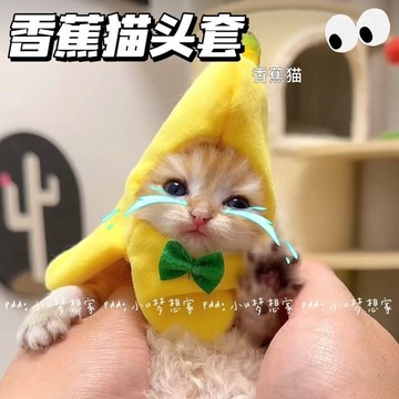 香蕉貓mini頭套 可愛貓咪擺拍道具 毛絨玩具玩偶頭套 香蕉貓 貓咪頭套 幼貓頭套 寵物頭套 香蕉貓表情包同款頭套