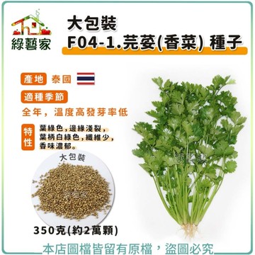 【綠藝家】大包裝F04-1.芫荽(香菜)種子350克(約2萬顆) // 葉綠色，邊緣淺裂，葉柄白綠色