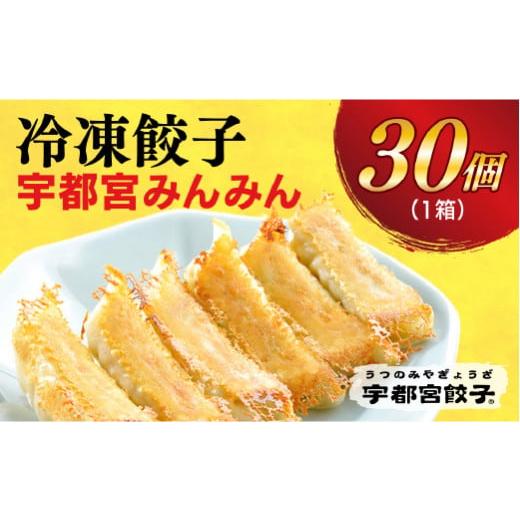 ふるさと納税 栃木県 宇都宮市 ＜宇都宮みんみん＞　餃子30個入