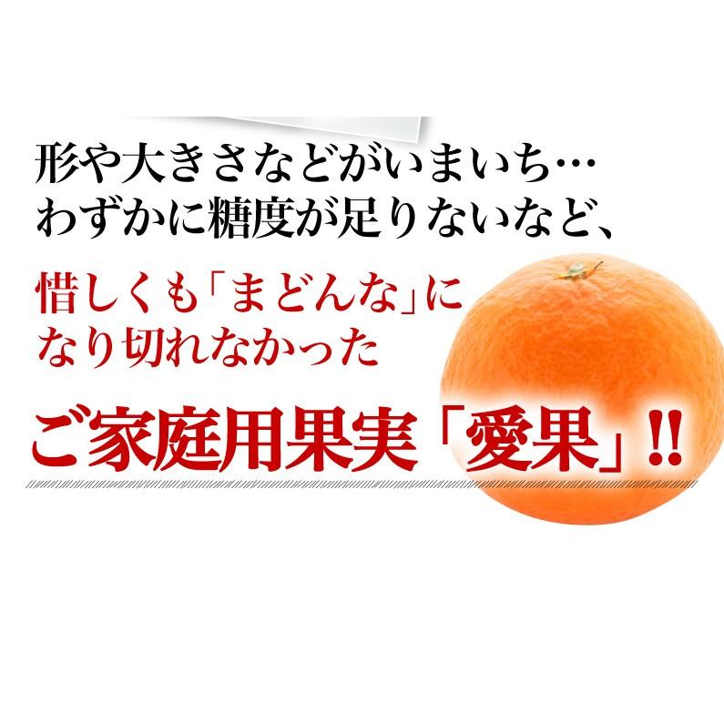 早期予約 みかん 愛媛県産 愛果 あいか ご家庭用 5kg 4L〜2Lサイズ 混合 20〜25玉 送料無料 J常