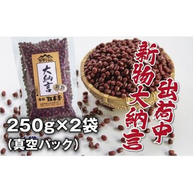 ふるさと納税 兵庫県 丹波篠山市 令和５年産　丹波篠山産　大納言小豆（２Ｌ）　２５０ｇ×２袋（真空パック）