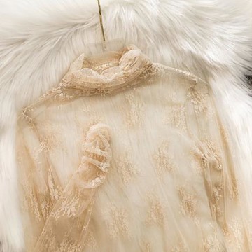 堆堆領蕾絲打底衫女春秋洋氣時尚內搭高領紗衣透明網紗百搭上衣薄