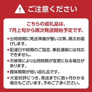 博多ピオーネ（350g×4パック）｜7月上旬～8月上旬頃発送予定 002-007