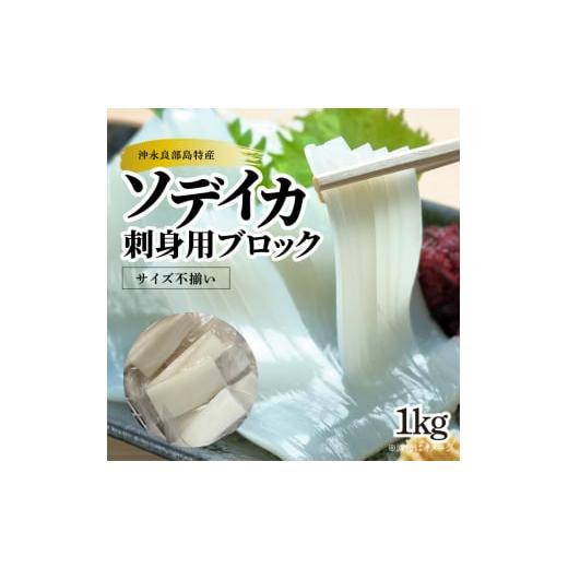 ふるさと納税 鹿児島県 和泊町 ソデイカ・刺身用ブロック　 1Ｋg／沖永良部島特産