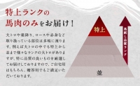 馬スジ 2kg 500g×4袋 加熱 ボイル済み 調理済 冷凍