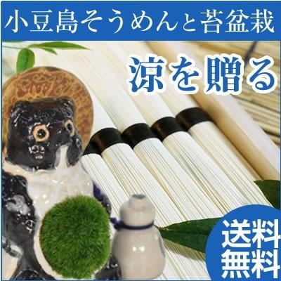 盆栽 中元 小豆島手延べそうめん 苔盆栽 納涼セット 素麺 涼を贈る 夏ギフトに そうめん 和