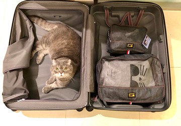 新型格牛仔布旅行衣物收納袋