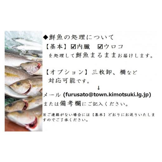 ふるさと納税 鹿児島県 肝付町 C09001 地魚詰め合わせセット(約6〜8人分) 