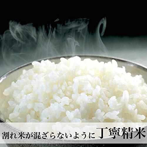 新米 令和5年産米 夢つくし 白米 10kg 2022年産 福岡県産米 福岡のお米 新米 2023