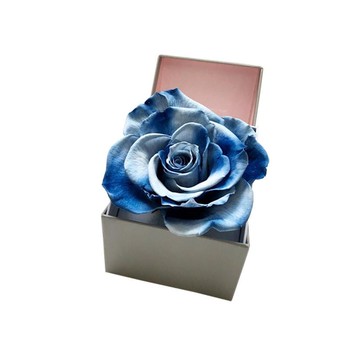 繁星不凋花限量色 - 藍色是最溫暖的顏色