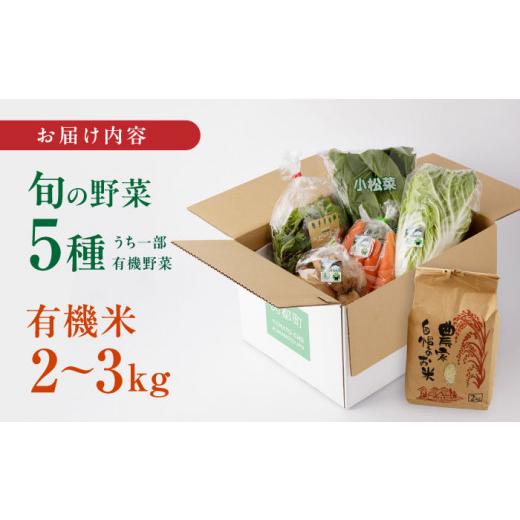 ふるさと納税 熊本県 山都町 新米 有機米 2kg 旬の野菜 5種 野菜セット 有機JAS認定 熊本県産 オーガニック野菜 山都町産 産地直送 熊本直送【株式会社 肥後や…