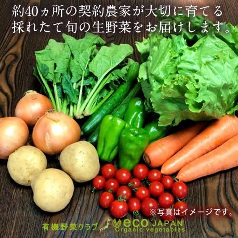 日本の有機野菜セット［8種類］季節の旬 有機農法 野菜 詰め合わせ 日本全国ご当地生産者 有機栽培 ベジタブル スムージー 野菜材料
