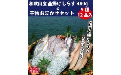 ZB6085n_和歌山産 釜揚げしらす 480g＆干物詰め合わせセット 5種12品入り