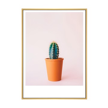 小鮮綠 跟著感覺走  仙人掌裝飾畫框  3種可選框色  59.4 x 42cm  木色