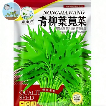 【原廠包裝】青柳葉莧菜種子（Green Willow Leaf Amaranth）耐熱快收 30天採收 家庭菜園
