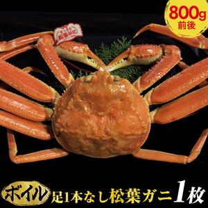 ふるさと納税 足1本なし松葉ガニ　大1枚（800g前後） ※2023年11月〜2024年3月に順次発送予定《かに カニ 蟹》 鳥取県北栄町