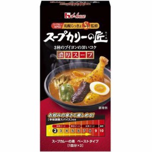 ハウス食品 スープカリーの匠 濃厚スープ１１９ｇ  ×80