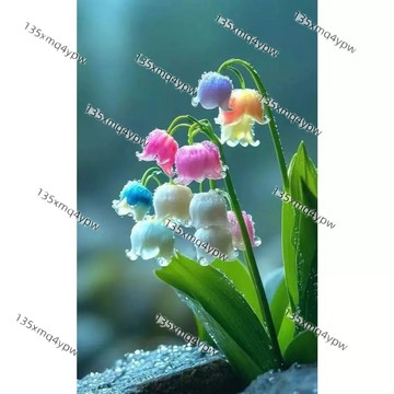 台灣現貨 鈴蘭花種子（250粒）新品種四季種植 陽台庭院盆栽 四季開花濃香好養花卉 花束禮物 好養活 多年生 耐寒耐熱種