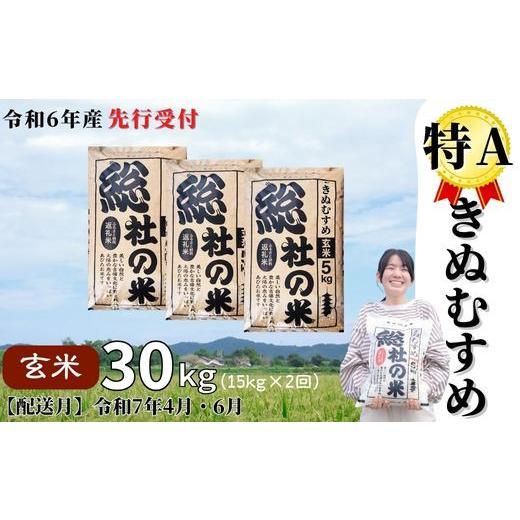 ふるさと納税 岡山県 総社市 特Aきぬむすめ30kg 定期便（15kg×2回）岡山県総社市産〔令和7年4月・6月配送〕24-030-017