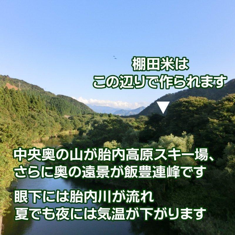 敬老の日 プレゼント お米 5kg 高級銘柄米 棚田米 新潟産コシヒカリ 無洗米 敬老の日ギフト 新潟米 新潟 こしひかり 贈答 送料無料