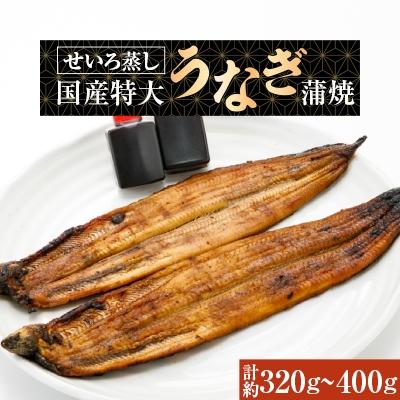 ふるさと納税 岸和田市 蒸篭(せいろ)蒸し　国産特大うなぎ蒲焼2尾　特製タレ2個