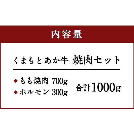 ふるさと納税 熊本県 水俣市 くまもと あか牛 焼肉 セット 1kg もも700g ホルモン300g