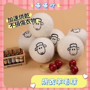 烘衣羊毛球 羊毛球 除毛球 烘衣球 烘衣服神器 羊毛烘乾球 乾衣球 烘乾羊毛球 烘衣毛球 烘衣服