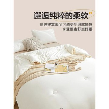 無印良品A類新疆棉花被子被芯加厚冬被棉被學生宿舍春秋被空調被