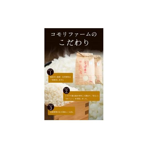 ふるさと納税 福岡県 小竹町 令和5年産 小さな竹美人 7分づき 米 4kg(2kg×2袋) 株式会社コモリファーム《お申込み月の翌月…