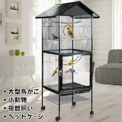 おしゃれ バードゲージ シンプル 文鳥 セキセイインコ ケージ オカメインコ 鳥かご 彫刻 鳥小屋 Lqmt 191 Www Pianurainn It
