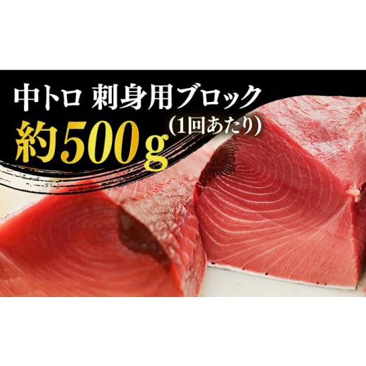 ふるさと納税 長崎県 新上五島町  五島列島産 養殖 生本かみまぐろ 中トロ ブロック 500g…