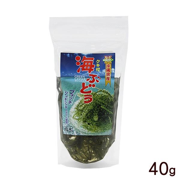 海ぶどう 塩水漬け 茎付き 40g （平良商店）