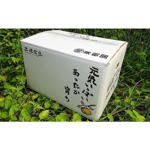 ふるさと納税 高知県 黒潮町 届いてすぐに食べられる 土佐文旦 10kg（ご 家庭用 ） ムッキーちゃん 付き［1463］