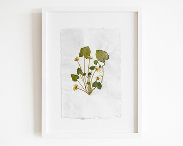 植物標本室黃色原植物乾燥花原創藝術品手工紙