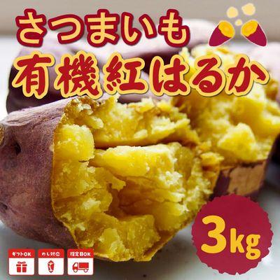 ふるさと納税 南九州市 さつまいも「紅はるか」3kg