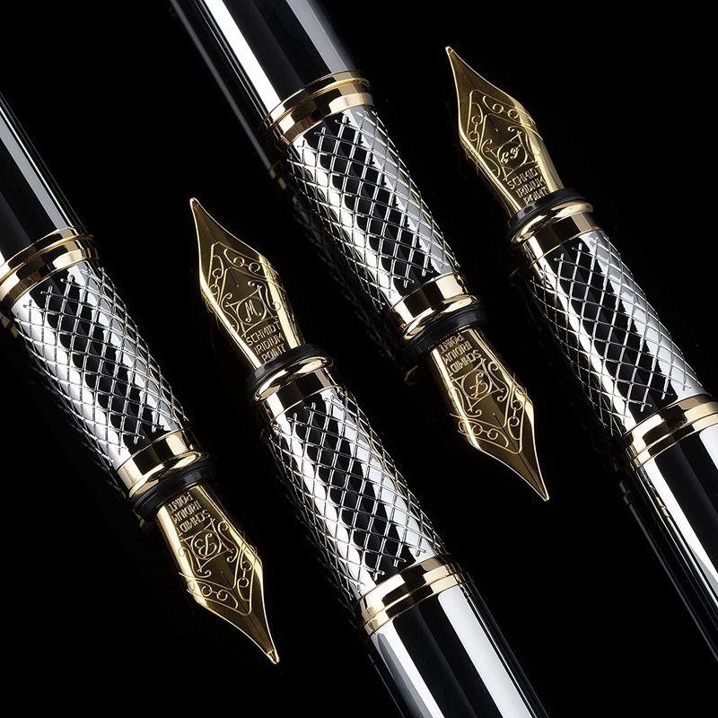 Scriveiner最高級 プレミアム 万年筆 (シルバー) 魅力的な美しさ 24K金