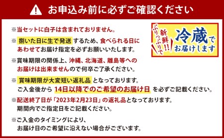  とらふぐ 刺身 ・ ふぐ鍋 セット (4～5人前) ふぐ フグ まふぐ