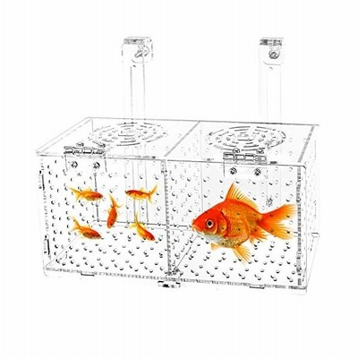 産卵箱 サテライト 水槽 めだか水槽用 アクリル水槽用 隔離ボックス 調節可能 選べる２サイズ 産卵用 としてはもちろん 稚魚 の保護にもご利用いただけ 通販 Lineポイント最大get Lineショッピング