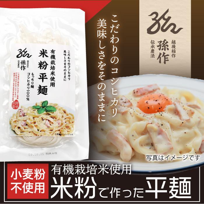 お米のパスタ ライスパスタ 128g×5食パック グルテンフリー 小麦粉不使用 米粉麺 米の麺 米麺 麺 米粉パスタ 小麦アレルギー対応 国産米粉 平麺 きしめん