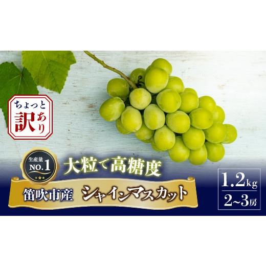 ふるさと納税 山梨県 笛吹市 ＜2024年先行予約＞ちょっと訳アリ 『シャインマスカット』 山梨県産ぶどう 青秀品 2〜3房 計約1.2kg ※冷蔵 JAふえふき 203-012