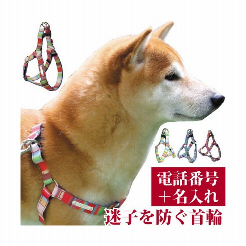 迷子札 犬 首輪 名前入り かわいい 洗える マルチボーダーid ハーネス サイズss 胴囲30 41cm M 胴囲36 48cm 名前 と連絡先 電話番号 のプレートを固定 国産 通販 Lineポイント最大get Lineショッピング