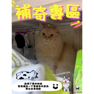 ✨Q寶貝寵物✨補寄專區(非請勿下)