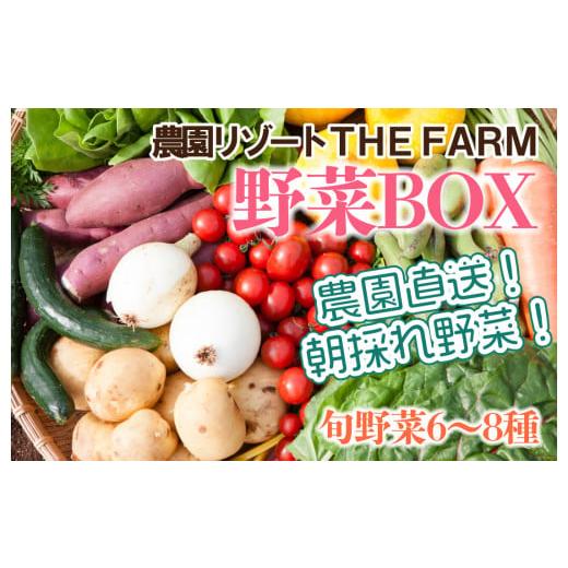 ふるさと納税 千葉県 香取市 THE FARMの 野菜 詰め合わせセット こだわり厳選した旬な野菜をお届け!