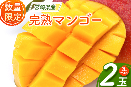 ＜先行予約＞宮崎県産 完熟マンゴー 2Lサイズ2玉