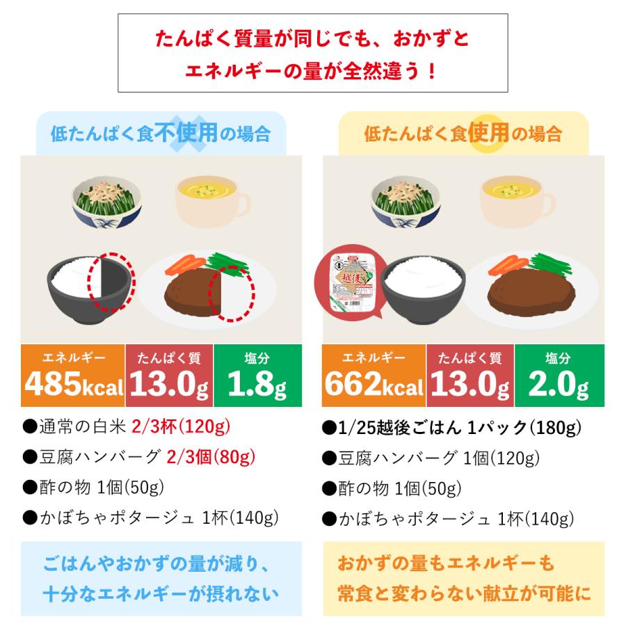 低たんぱく米 越後のパックごはん 4種おためしセット 腎臓病食 低タンパク米 洗米済み 米 常温保存 バイオテックジャパン