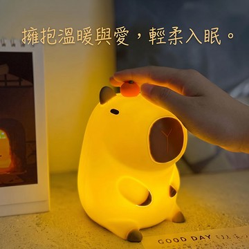 🔜 快速出貨【蝦米良品】超夯水豚卡皮巴拉夜燈 水瓶座/射手座 禮物 小台燈 拍拍燈 生日禮物 聖誕節交換禮物首選  療癒小物  畢業季禮物