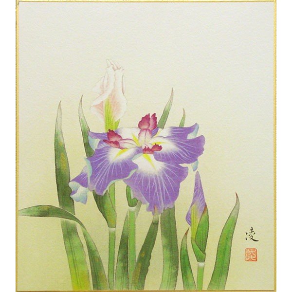 中村 凌 『菖蒲』 色紙絵 絵画 日本画 花 初夏 春 メール便 ネコポス 通販 LINEポイント最大0.5%GET | LINEショッピング